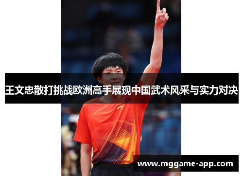 王文忠散打挑战欧洲高手展现中国武术风采与实力对决